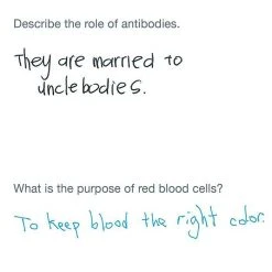 Brumby Sunstate F In Exams  Paperback Book Fun Books