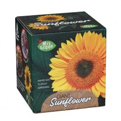Heebiejeebies Giant Sunflower Growing Kit Giant Products