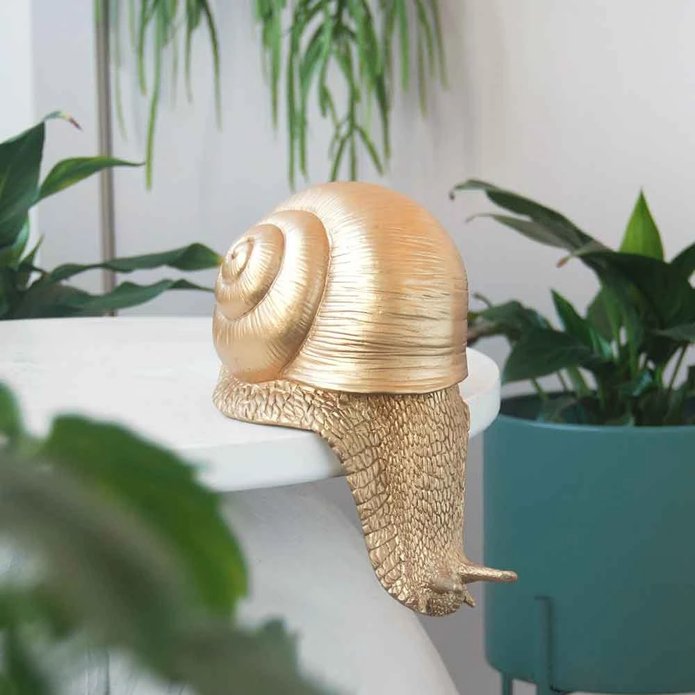 Sports And Outdoors Shelf Snail Decor | White Moose 3 Sports And Outdoors Shelf Snail Decor | White Moose