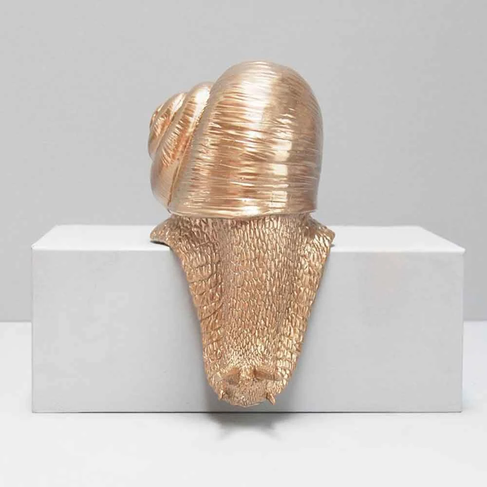 Sports And Outdoors Shelf Snail Decor | White Moose 5 Sports And Outdoors Shelf Snail Decor | White Moose