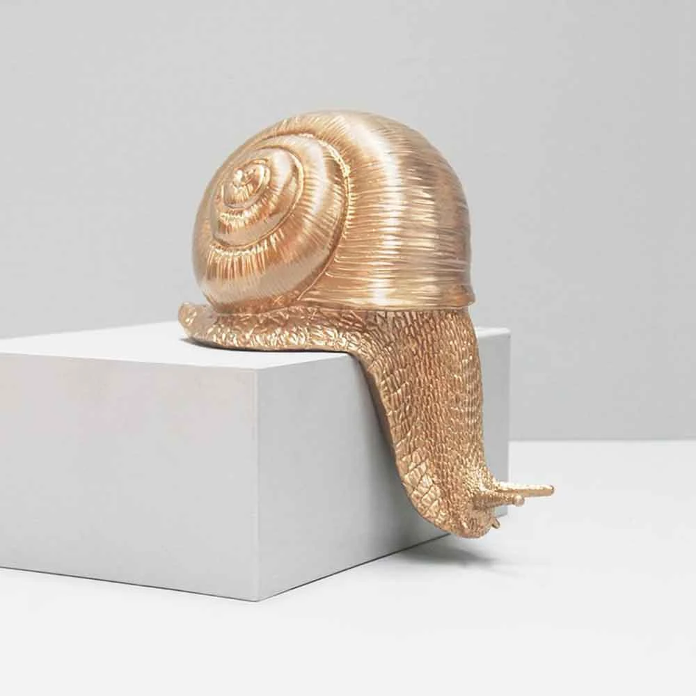 Sports And Outdoors Shelf Snail Decor | White Moose 6 Sports And Outdoors Shelf Snail Decor | White Moose