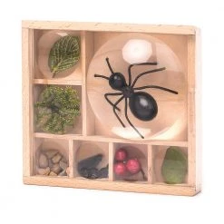 IsAlbi Great Outdoors Bug Box Magnifying Display 11 IsAlbi Great Outdoors Bug Box Magnifying Display