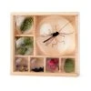 IsAlbi Great Outdoors Bug Box Magnifying Display 1 IsAlbi Great Outdoors Bug Box Magnifying Display