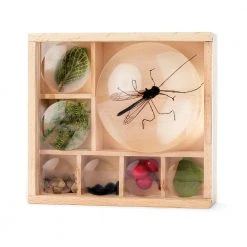 IsAlbi Great Outdoors Bug Box Magnifying Display