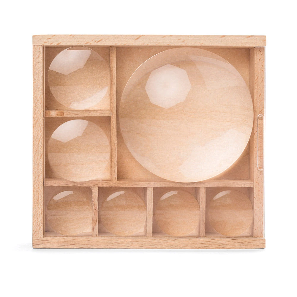 IsAlbi Great Outdoors Bug Box Magnifying Display 4 IsAlbi Great Outdoors Bug Box Magnifying Display