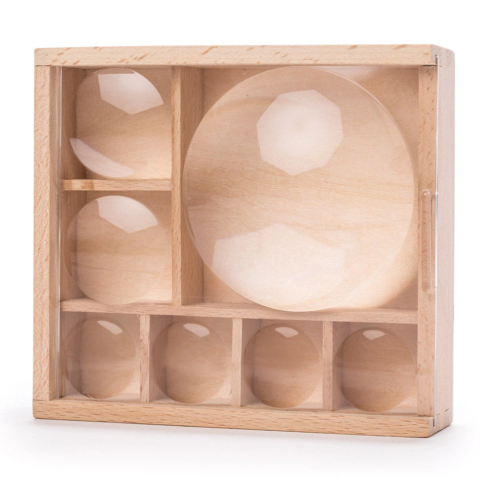 IsAlbi Great Outdoors Bug Box Magnifying Display 5 IsAlbi Great Outdoors Bug Box Magnifying Display