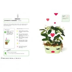 Brumby Sunstate Gifts For Sisters Grow Your Own Pet Plants Book