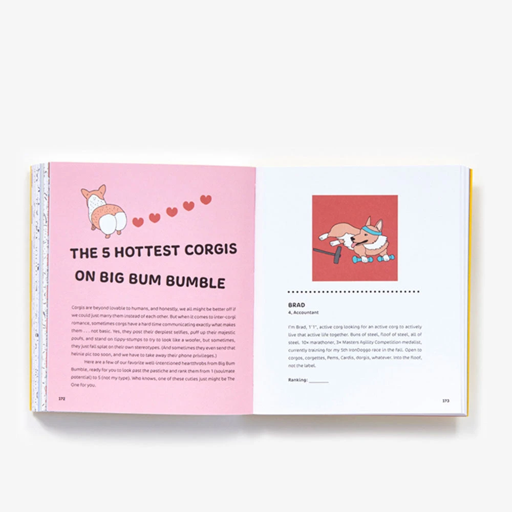 Brumby Sunstate Little Book Of Big Corgi Butts Activity Book 7 Brumby Sunstate Little Book Of Big Corgi Butts Activity Book