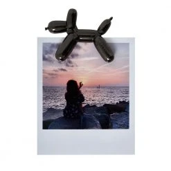 Paperie Lucky Magnetic Photo Holder Office Gifts 9 Paperie Lucky Magnetic Photo Holder Office Gifts