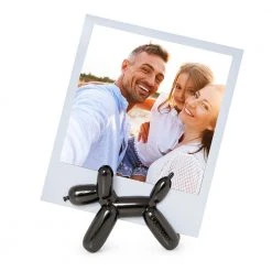 Paperie Lucky Magnetic Photo Holder Office Gifts