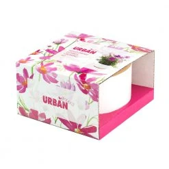 Steady Sticks Gifts For Sisters Mixed Dwarf Cosmos Flower Growing Kit