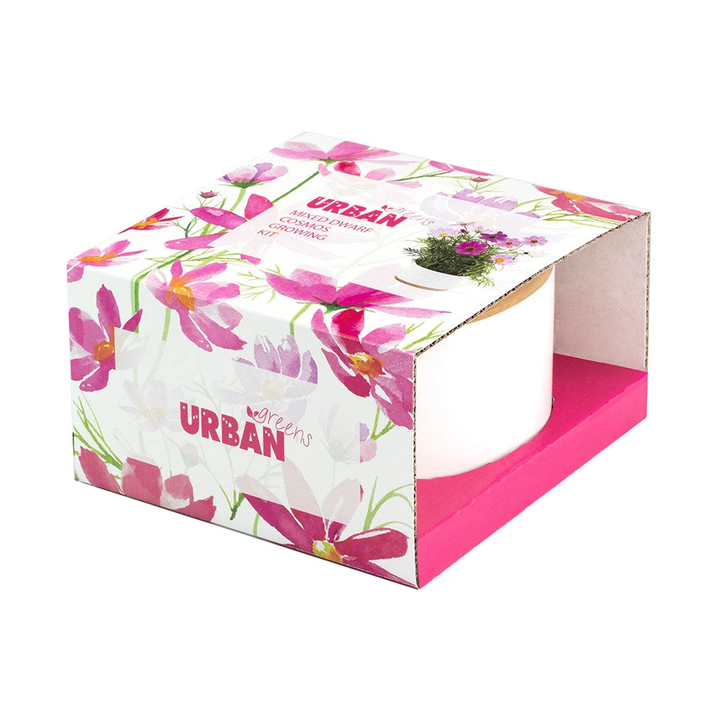 Steady Sticks Gifts For Sisters Mixed Dwarf Cosmos Flower Growing Kit 4 Steady Sticks Gifts For Sisters Mixed Dwarf Cosmos Flower Growing Kit