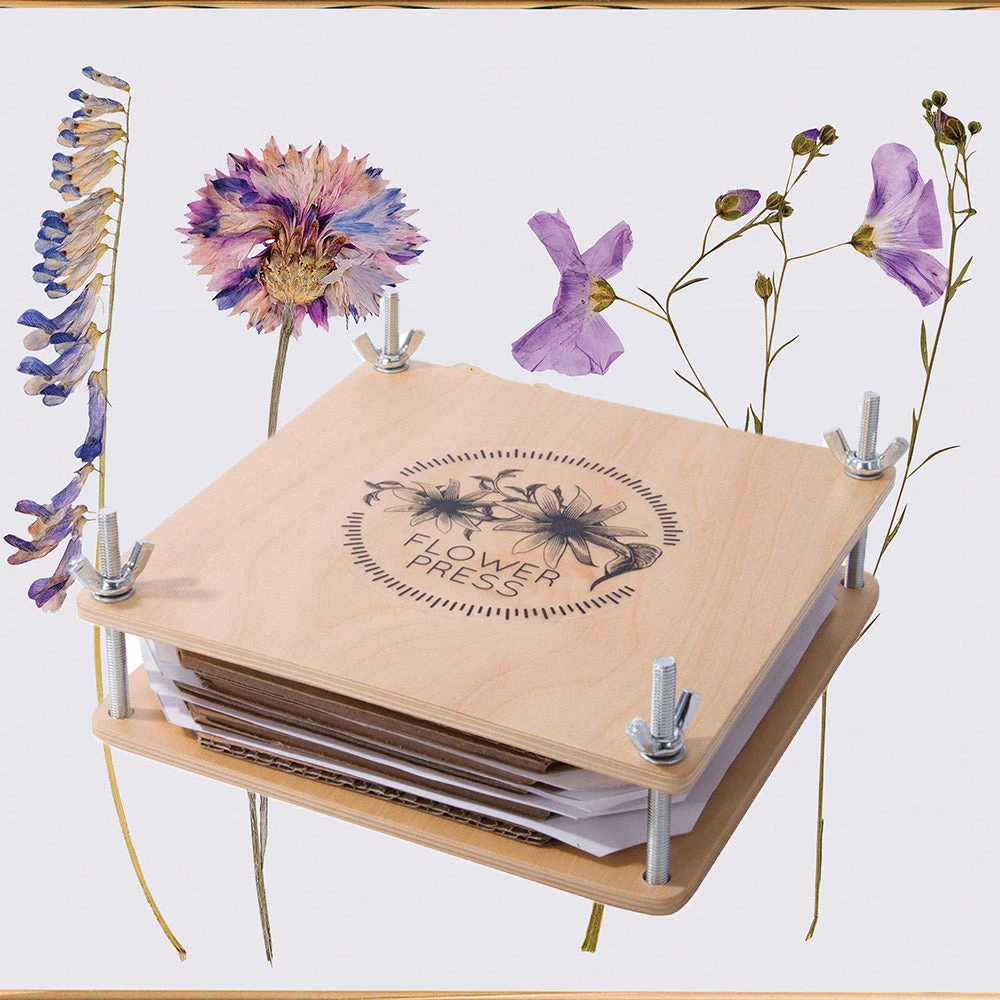 IsAlbi Science STEM Toys Pressed Flower Craft Kit 3 IsAlbi Science STEM Toys Pressed Flower Craft Kit